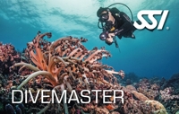 SSI Divemaser