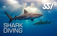SSI Shark Diver