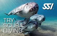 Schnuppertauchen / Discover Scuba Diving / Try Scuba