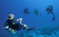 SSI Divemaster