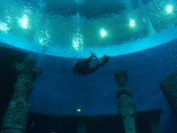 Dive4Life