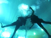 Dive4Life
