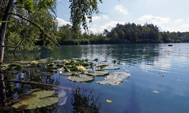 Tauchen im See